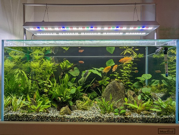 アクロ TRIANGLE LED グロウ 600mm 水草育成 アクアリウム - 魚用品/水草